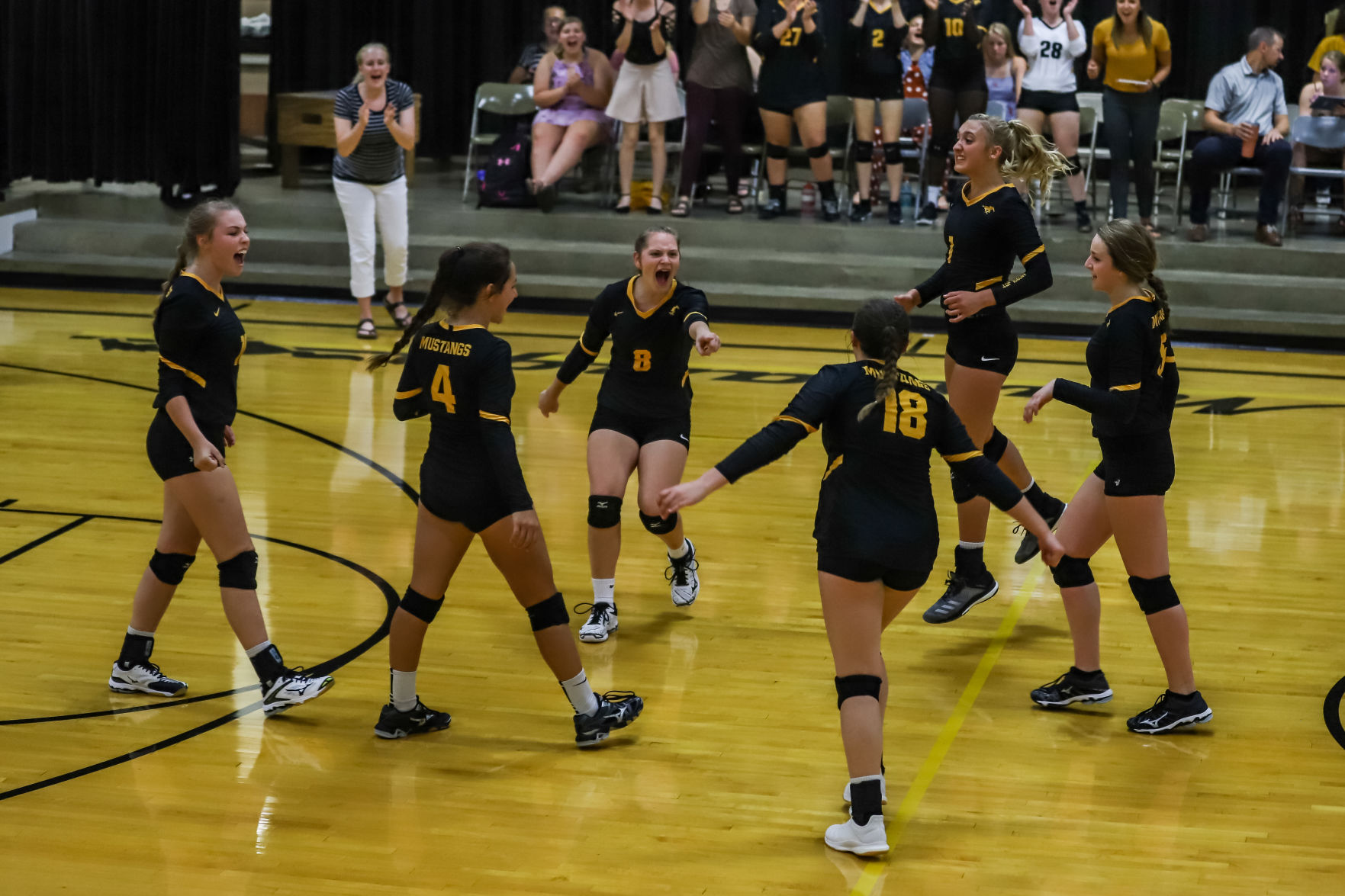 Volleyball (111).JPG